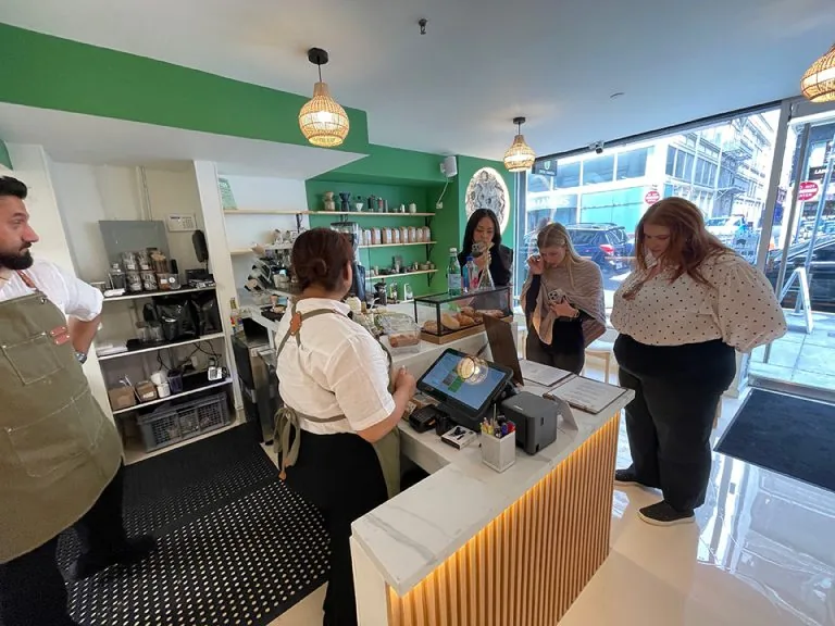 Matcha 101: Everything You Need to Know